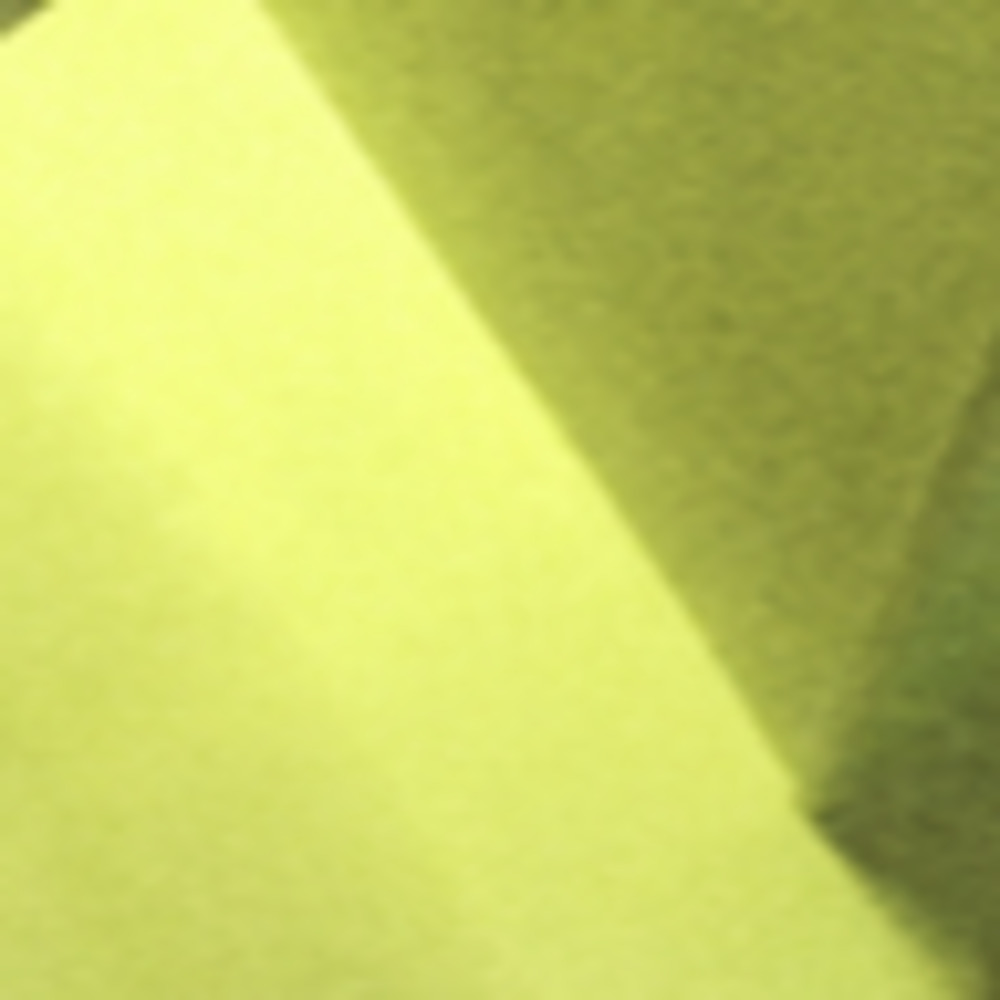 Meet your Posher, Anastasia